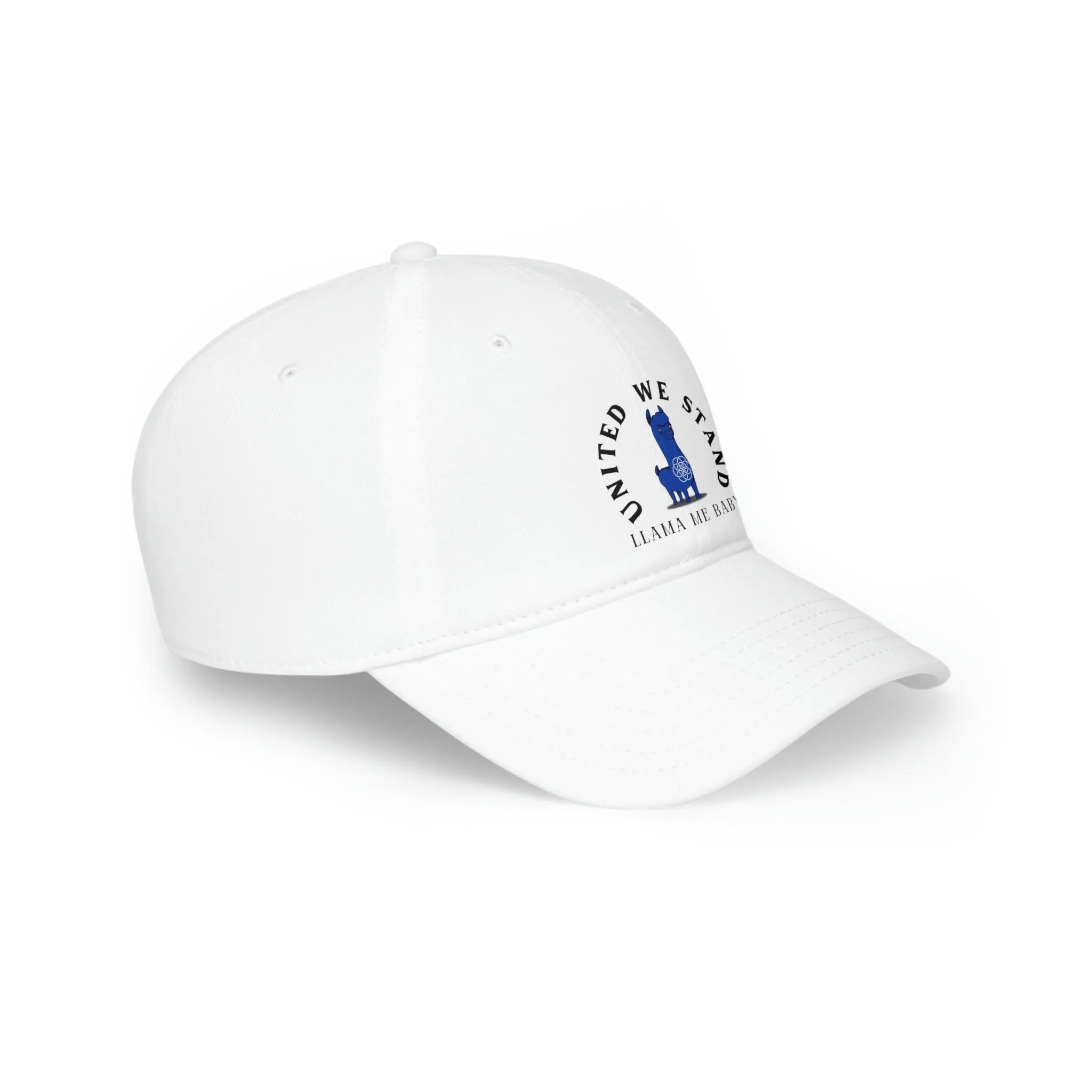 LMB United We Stand Logo- Low Profile Baseball Cap