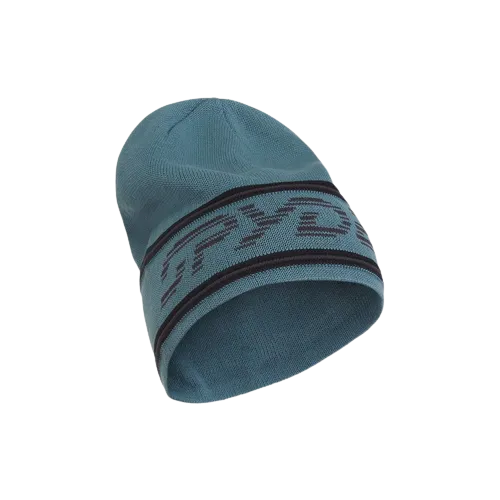 Spyder Retro Logo Hat