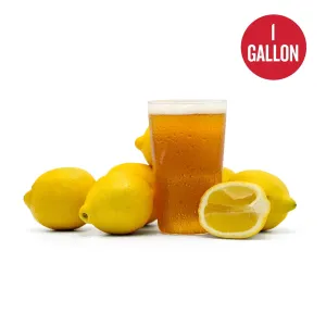 Summer Squeeze Lemon Shandy 1 Gallon Beer Recipe Kit